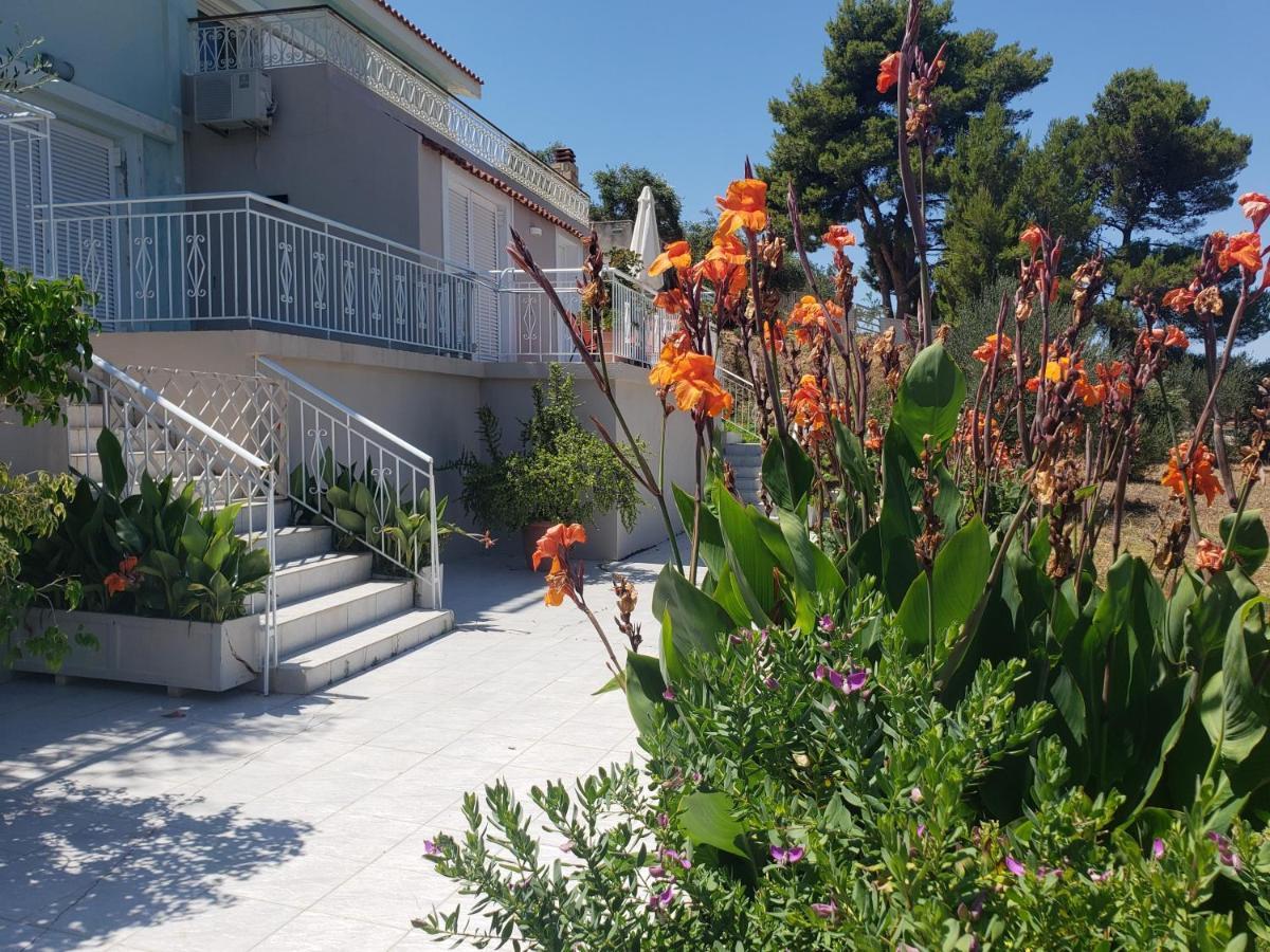 Malibu Studios & Apartments Lassi  Exteriör bild